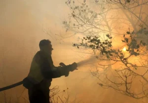 آتش در جنگل‌های جاده چالوس/ درخواست محیط‌زیست برای اعزام فوری بالگرد