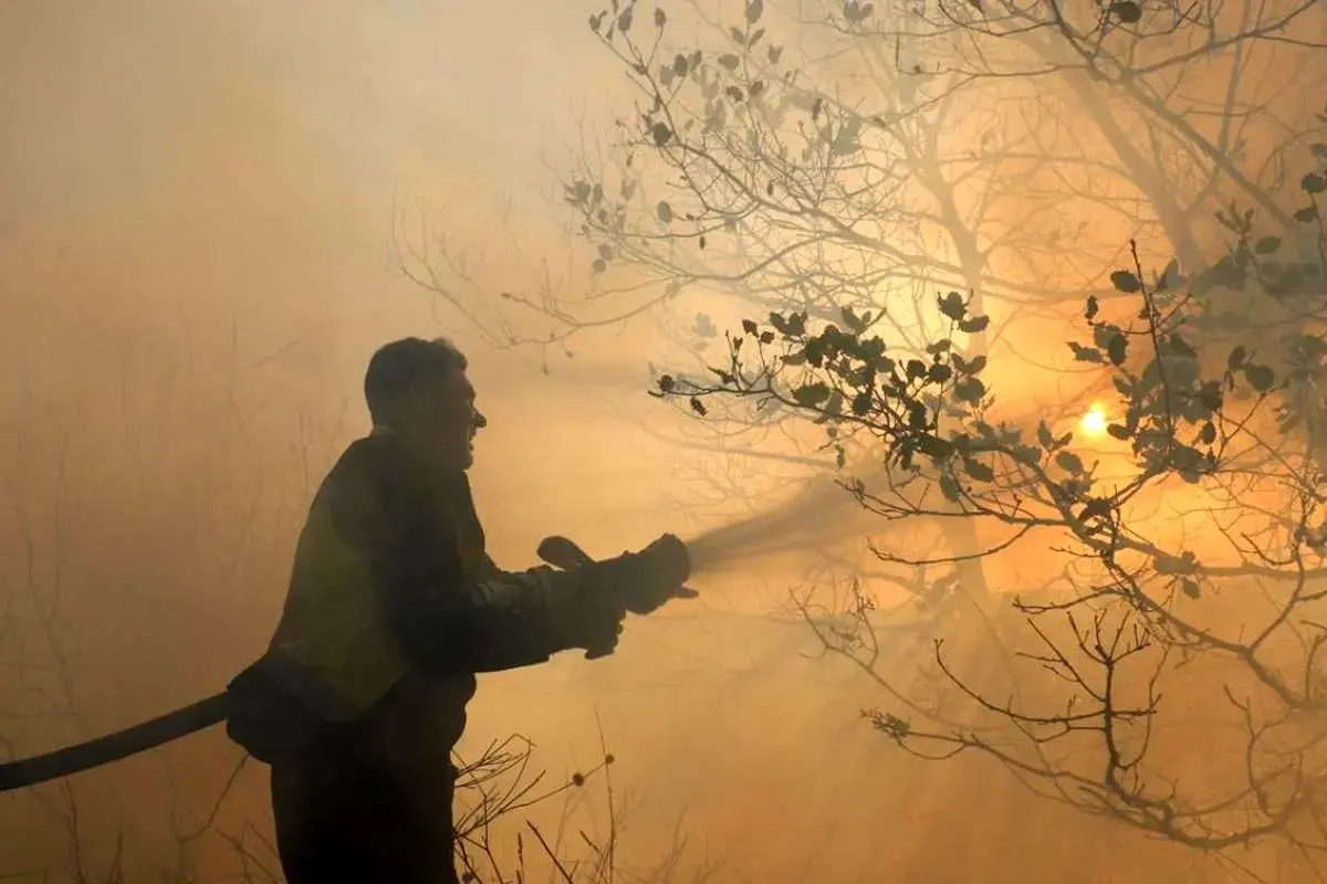 آتش در جنگل‌های جاده چالوس/ درخواست محیط‌زیست برای اعزام فوری بالگرد