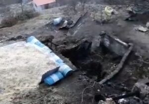 عدم ایستگاه آتش نشانی در دهستان نساء موجب خسران سرمایه ی یک دامدار گردید