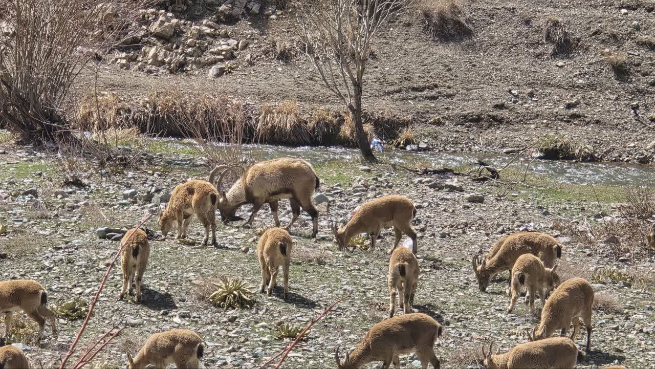 طبیعت زیبای وارنگه‌رود در بخش آسارا