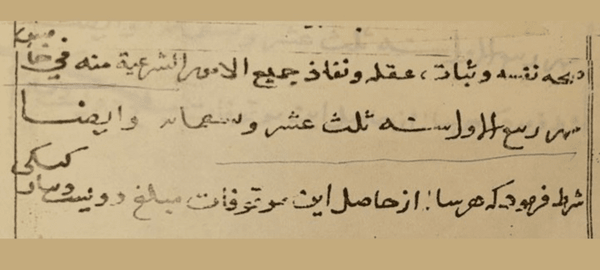قدیمی‌ترین وقف‌نامه جهان اسلام در طبس کشف شد